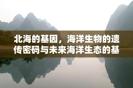 北海的基因，海洋生物的遗传密码与未来海洋生态的基因编辑挑战