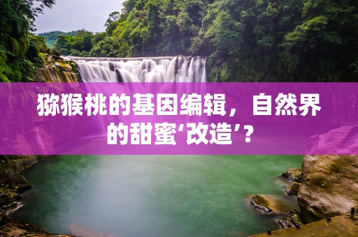 猕猴桃的基因编辑，自然界的甜蜜‘改造’？