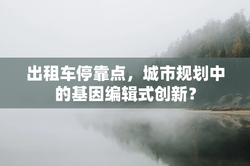出租车停靠点，城市规划中的基因编辑式创新？
