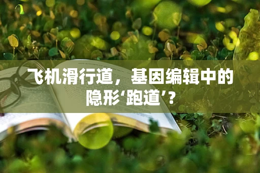 飞机滑行道，基因编辑中的隐形‘跑道’？