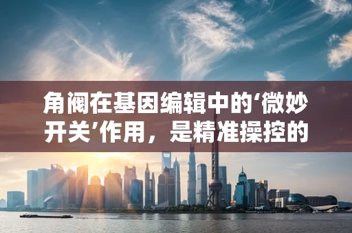 角阀在基因编辑中的‘微妙开关’作用，是精准操控的利器还是伦理争议的焦点？