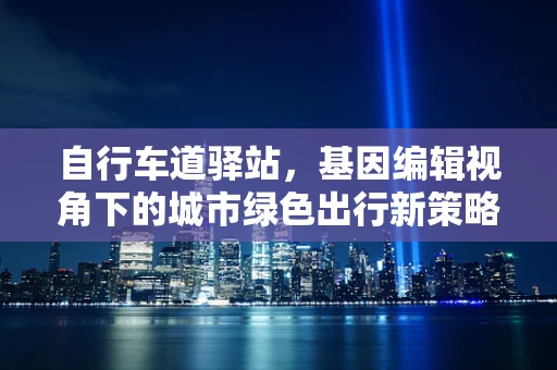自行车道驿站，基因编辑视角下的城市绿色出行新策略？