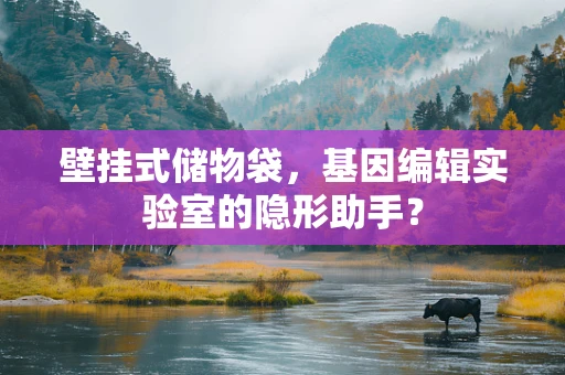 壁挂式储物袋，基因编辑实验室的隐形助手？