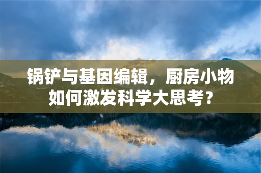 锅铲与基因编辑，厨房小物如何激发科学大思考？