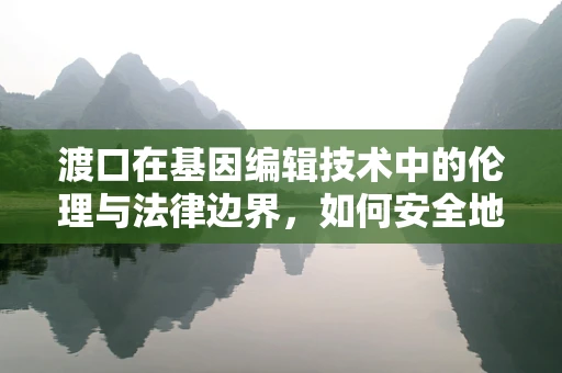 渡口在基因编辑技术中的伦理与法律边界，如何安全地驶过？