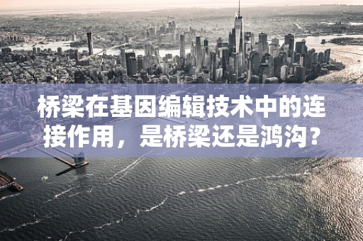 桥梁在基因编辑技术中的连接作用，是桥梁还是鸿沟？