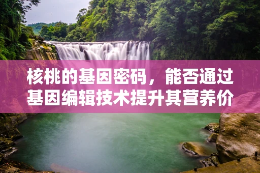 核桃的基因密码，能否通过基因编辑技术提升其营养价值与抗逆性？