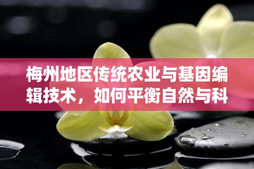 梅州地区传统农业与基因编辑技术，如何平衡自然与科技的力量？