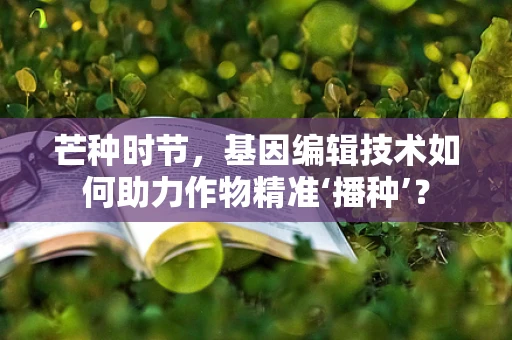 芒种时节，基因编辑技术如何助力作物精准‘播种’？
