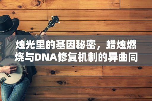 烛光里的基因秘密，蜡烛燃烧与DNA修复机制的异曲同工之处？