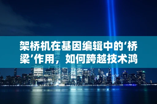 架桥机在基因编辑中的‘桥梁’作用，如何跨越技术鸿沟？