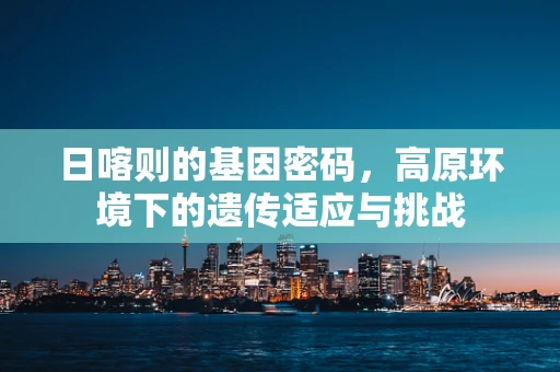 日喀则的基因密码，高原环境下的遗传适应与挑战
