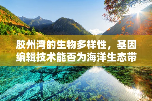 胶州湾的生物多样性，基因编辑技术能否为海洋生态带来新希望？