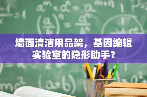 墙面清洁用品架，基因编辑实验室的隐形助手？