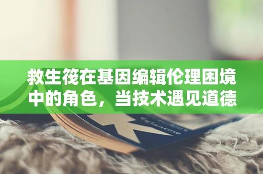 救生筏在基因编辑伦理困境中的角色，当技术遇见道德的十字路口