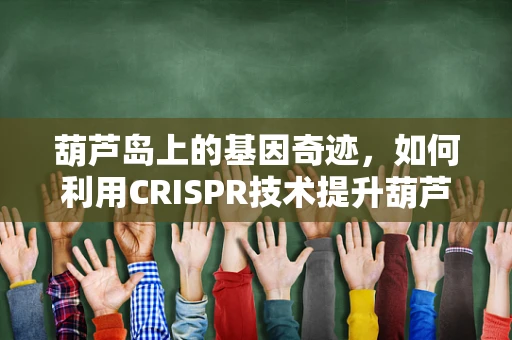 葫芦岛上的基因奇迹，如何利用CRISPR技术提升葫芦种植的抗逆性？