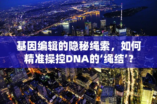 基因编辑的隐秘绳索，如何精准操控DNA的‘绳结’？