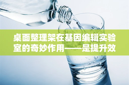 桌面整理架在基因编辑实验室的奇妙作用——是提升效率还是多余装饰？