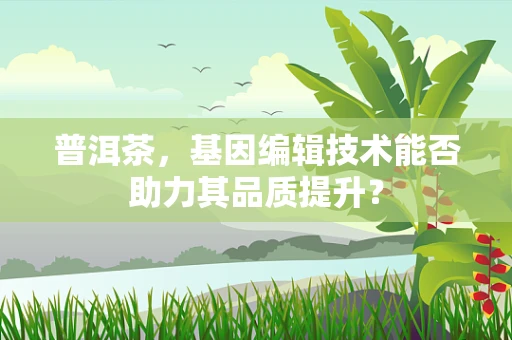 普洱茶，基因编辑技术能否助力其品质提升？