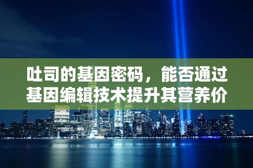 吐司的基因密码，能否通过基因编辑技术提升其营养价值？