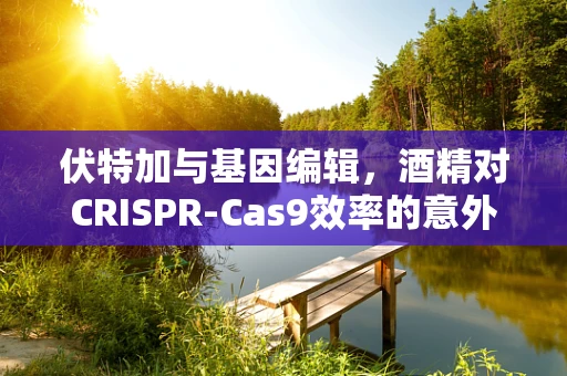 伏特加与基因编辑，酒精对CRISPR-Cas9效率的意外影响？