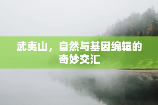 武夷山，自然与基因编辑的奇妙交汇