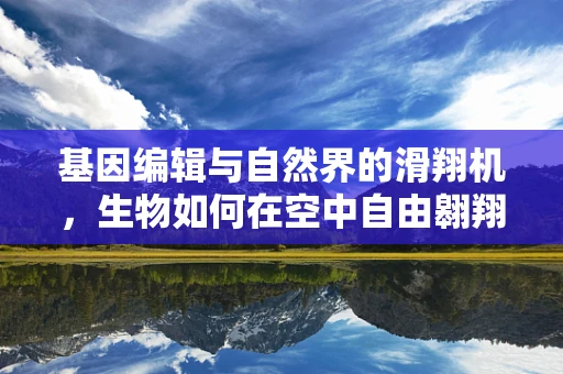 基因编辑与自然界的滑翔机，生物如何在空中自由翱翔？