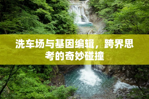 洗车场与基因编辑，跨界思考的奇妙碰撞