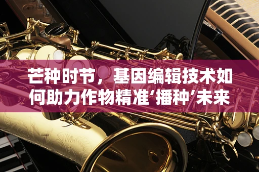 芒种时节，基因编辑技术如何助力作物精准‘播种’未来？