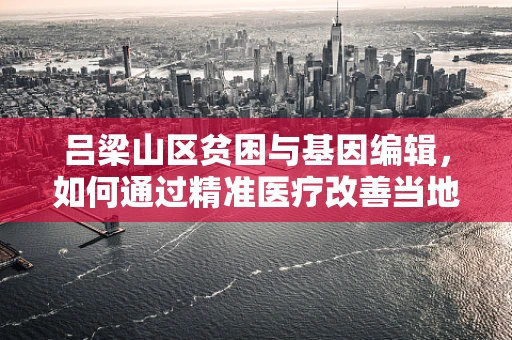 吕梁山区贫困与基因编辑，如何通过精准医疗改善当地健康状况？