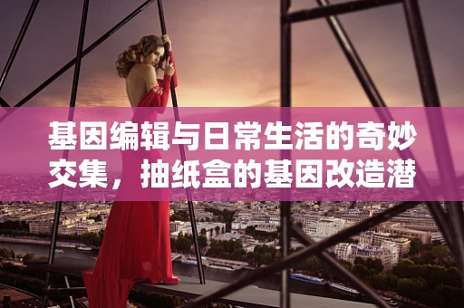 基因编辑与日常生活的奇妙交集，抽纸盒的基因改造潜力？