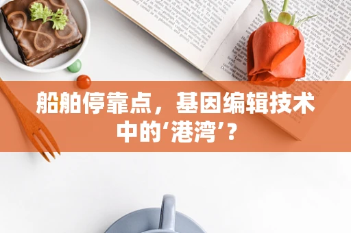 船舶停靠点，基因编辑技术中的‘港湾’？