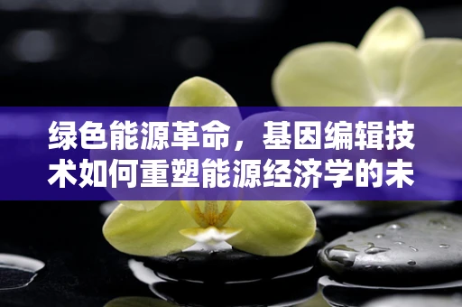 绿色能源革命，基因编辑技术如何重塑能源经济学的未来？