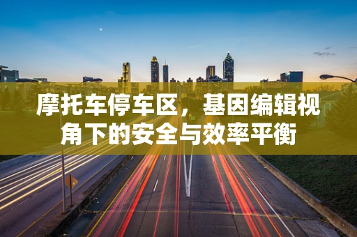 摩托车停车区，基因编辑视角下的安全与效率平衡