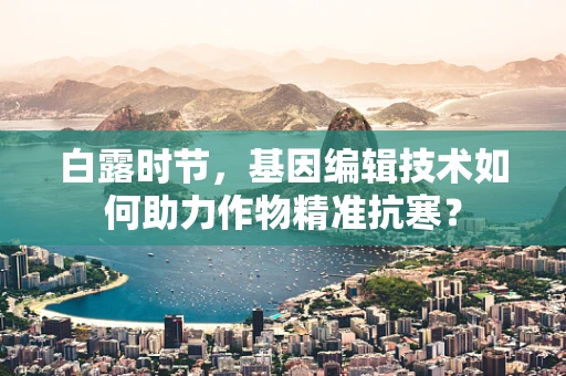 白露时节，基因编辑技术如何助力作物精准抗寒？
