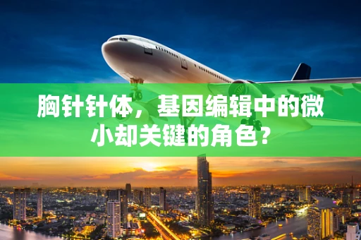 胸针针体，基因编辑中的微小却关键的角色？
