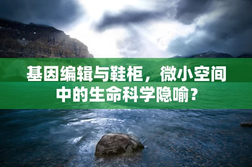 基因编辑与鞋柜，微小空间中的生命科学隐喻？
