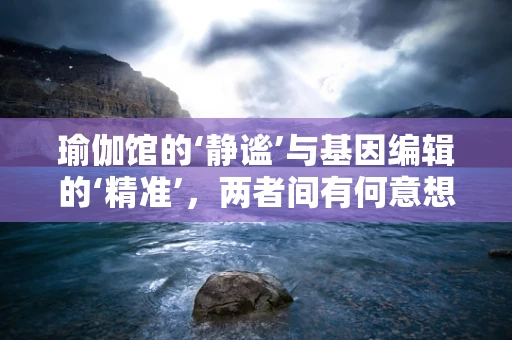 瑜伽馆的‘静谧’与基因编辑的‘精准’，两者间有何意想不到的交集？