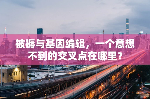 被褥与基因编辑，一个意想不到的交叉点在哪里？