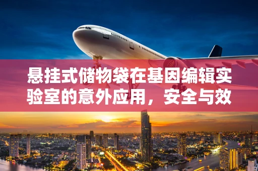 悬挂式储物袋在基因编辑实验室的意外应用，安全与效率的平衡