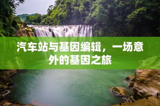 汽车站与基因编辑，一场意外的基因之旅