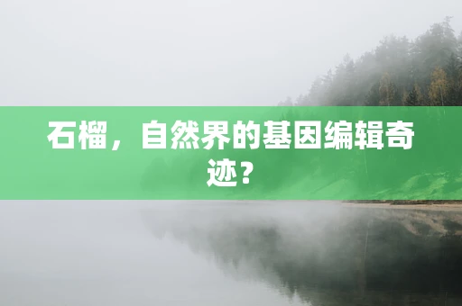 石榴，自然界的基因编辑奇迹？