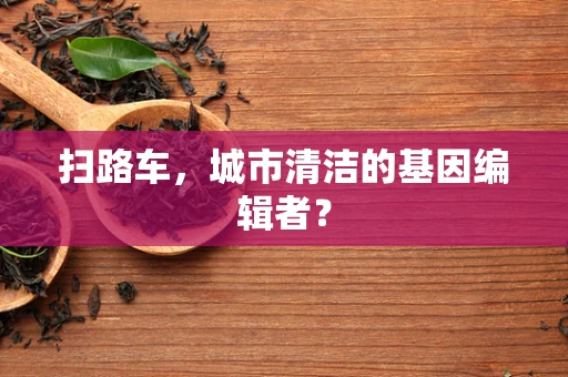 扫路车，城市清洁的基因编辑者？