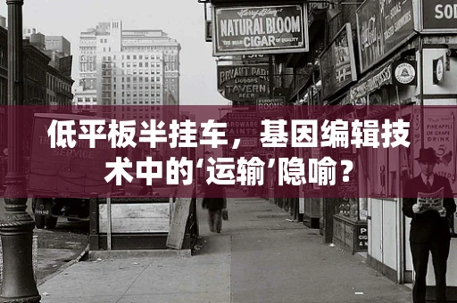 低平板半挂车，基因编辑技术中的‘运输’隐喻？