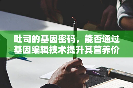 吐司的基因密码，能否通过基因编辑技术提升其营养价值？