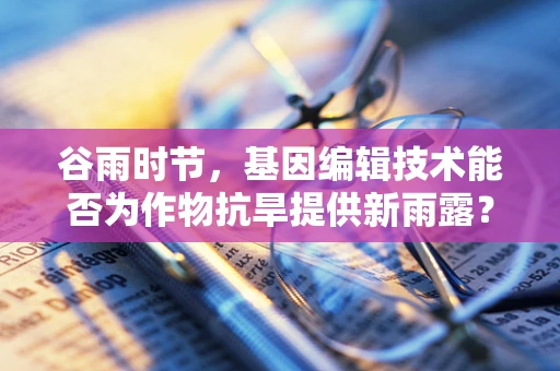 谷雨时节，基因编辑技术能否为作物抗旱提供新雨露？