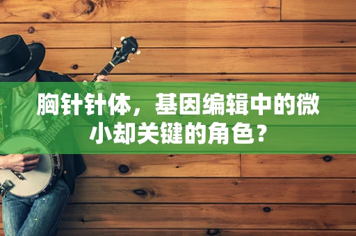 胸针针体，基因编辑中的微小却关键的角色？