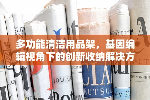 多功能清洁用品架，基因编辑视角下的创新收纳解决方案？