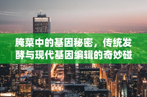 腌菜中的基因秘密，传统发酵与现代基因编辑的奇妙碰撞