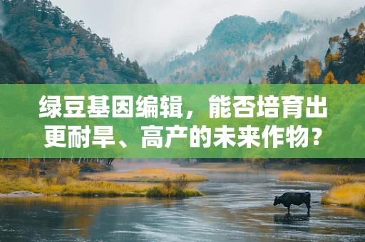 绿豆基因编辑，能否培育出更耐旱、高产的未来作物？